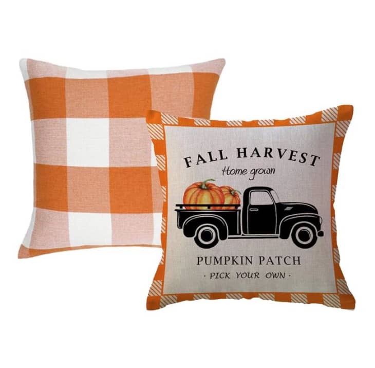 Studio chic home clearance decorative pillows costco